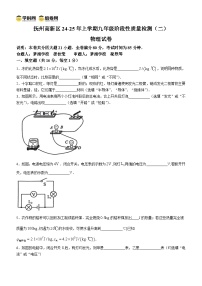 江西省抚州市高新技术产业开发区2024-2025学年九年级上学期11月期中物理试题