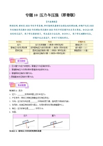 2025年中考物理一轮复习考点过关练习专题10  压力与压强（解析版）