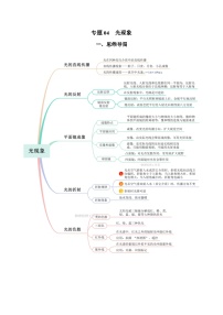 2025年中考物理一轮复习讲与练专题04 光现象（知识梳理 典例 练习）（教师版）