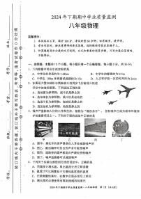 湖南省永州市蓝山县2024-2025学年八年级上学期11月期中物理试题