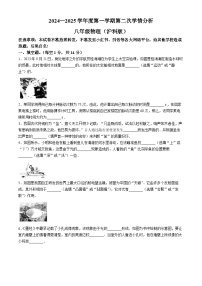 河南省周口市鹿邑县2024-2025学年八年级上学期11月期中物理试题