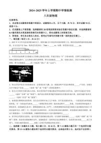 河南省平顶山市郏县2024～2025学年八年级上学期期中测试物理试卷（含答案）