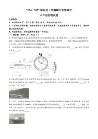 河南省驻马店市平舆县2024～2025学年八年级上学期期中测评物理试题（含答案）