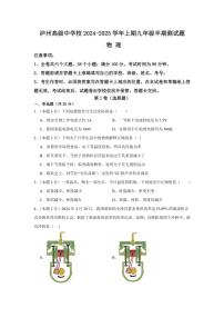 四川省泸州市江阳区泸州高级中学校2024～2025学年九年级上学期11月期中物理试题（含答案）