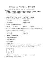 辽宁省辽阳市灯塔市2024-2025学年九年级上学期11月期中物理试题