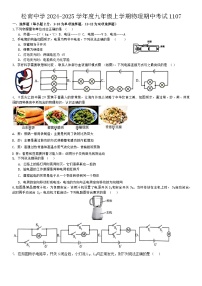 黑龙江省哈尔滨市松南学校2024—2025学年九年级上学期期中考试物理试题