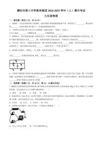 河南省濮阳市第三中学2024～2025学年九年级(上)期中物理试卷(含答案)