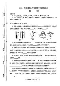 河南省南阳市南召县2024-2025学年九年级上学期11月期中物理试题