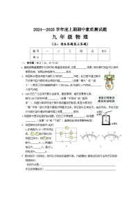 河南省驻马店市汝南县2024-2025学年九年级上学期11月期中物理试题