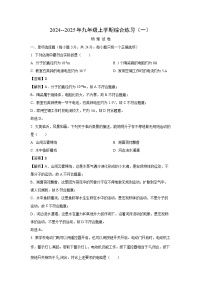 黑龙江省龙东地区2024-2025学年九年级上学期期中联考物理试卷(解析版)