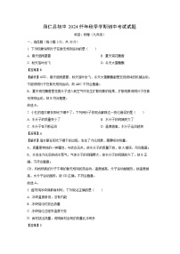 西藏自治区日喀则市昂仁县2024-2025学年九年级上学期10月期中物理试卷(解析版)