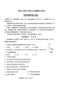 山东省济南市钢城区2024-2025学年九年级上学期11月期中物理试题