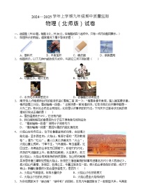 湖北省咸宁市2024-2025学年九年级上学期11月期中物理试题