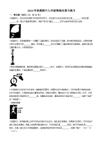 河南省南阳市内乡县2024-2025学年九年级上学期11月期中物理试题(无答案)