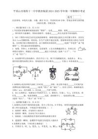 河南省平顶山市第四十一中学教育集团2024～2025学年九年级(上)期中物理试卷(含答案)