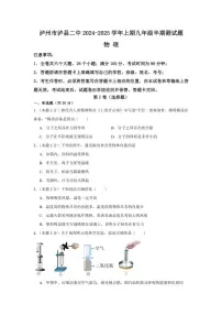 四川省泸州市泸县第二中学2024～2025学年九年级(上)期中物理试卷(含答案)