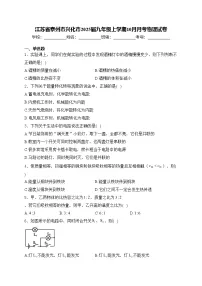 江苏省泰州市兴化市2025届九年级上学期10月月考物理试卷(含答案)
