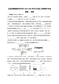 江西省景德镇市乐平市2024-2025学年九年级上学期11月期中物理试题