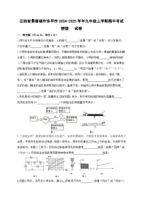 江西省景德镇市乐平市2024-2025学年九年级上学期11月期中物理试题