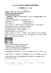 河北省沧州市孟村回族自治县2024-2025学年九年级上学期11月教学质量监测物理试题