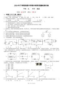 湖南省益阳市赫山区海棠学校2024-2025学年上学期期中考试九年级物理试题