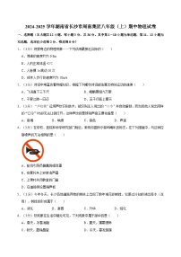 湖南省长沙市周南集团2024-2025学年八年级上学期期中考试物理试卷