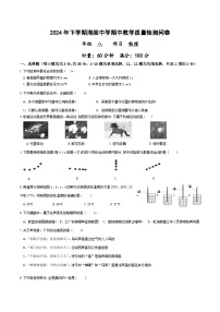 湖南省益阳市赫山区海棠学校2024-2025学年上学期期中考试八年级物理试题