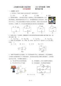 上海五浦汇实验学校2024-2025学年九年级上学期期中练习物理试卷