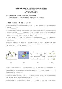 江西省抚州市临川区联考2024～2025学年九年级(上)期中物理试卷(原卷版+答案版)