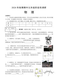 河南省南阳市淅川县2024～2025学年九年级(上)期中阶段调研物理试卷(含解析)