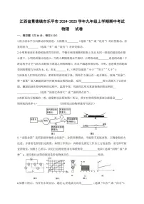 江西省景德镇市乐平市2024～2025学年九年级(上)期中物理试卷(含答案)