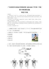 广东省深圳市龙岗区华附集团校2024-2025学年九年级上学期期中考试物理试题