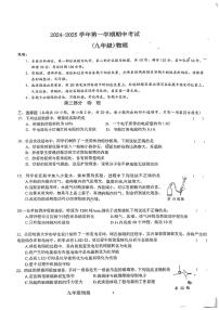 广东省深圳市新华中学2024-2025学年九年级上学期期中测试物理试题