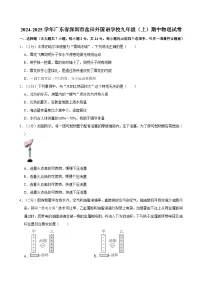 广东省深圳市盐田外国语学校2024-2025学年九年级上学期期中物理试卷