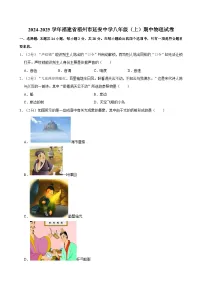 福建省福州市延安中学2024-2025学年八年级上学期期中物理试卷