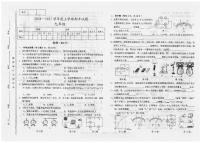 甘肃省陇南市康县2024-2025学年九年级上学期10月期中物理试题