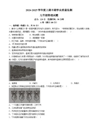 四川省成都市某校2024-2025学年九年级上学期期中考试物理试题(无答案)