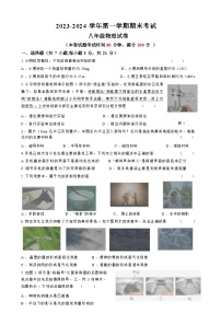广东省东莞市2023-2024学年八年级物理上学期期末考试试题 -