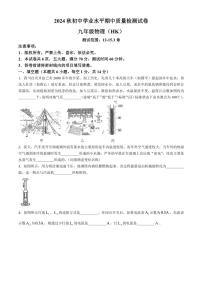 河南省安阳市第二十中学2024～2025学年九年级(上)期中物理试卷(含答案)