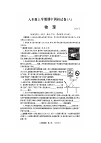 河南省安阳市部分学校2024-2025学年八年级上学期11月期中物理试题