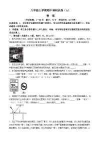 河南省安阳市部分学校2024-2025学年八年级上学期11月期中物理试题