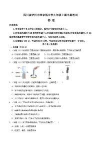 四川省泸州市龙马潭区四川省泸州市田家炳中学2024-2025学年九年级上学期11月期中物理试题