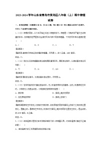 2023-2024学年山东省青岛市黄岛区八年级(上)期中物理（含解析）物理试卷