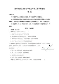 2024～2025学年四川省资阳市安岳县四川省安岳中学九年级(上)期中物理试卷(含答案)