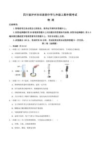 2024～2025学年四川省泸州市田家炳中学九年级(上)期中物理试卷(含答案)