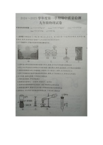 湖北省武汉市硚口区2024-2025学年九年级上学期期中物理试题