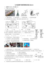 江苏省常州市实验初级中学等学校2024～2025学年九年级(上)期中联考物理试卷(含答案)