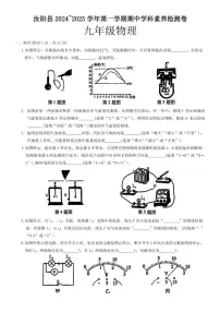 河南省汝阳县2024～2025学年九年级(上)期中物理试卷(含答案)