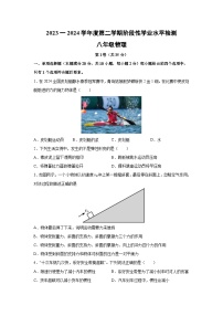 【物理】山东省青岛市黄岛区2023-2024学年八年级下学期期中考试物理试题（解析版）