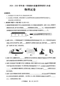 河南省洛阳市伊川县2024-2025学年八年级上学期11月期中物理试题